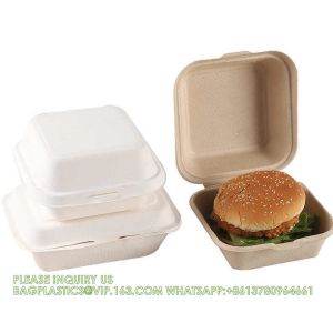 Sugarcane Pulp Clamshell Bagasse Takeout Bento Lunch Box Food Container For