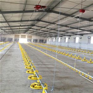 Buy cheap Custom Modern Steel Frame House , High Strength Metal Chicken House from wholesalers