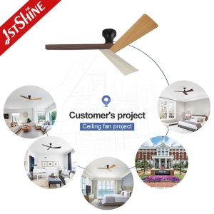 Multi Color Plastic Ceiling Fan With DC Motor No Light remote control include