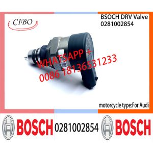 BOSCH DRV Valve 0281002854 Control Valve 0281002854 for AUDI