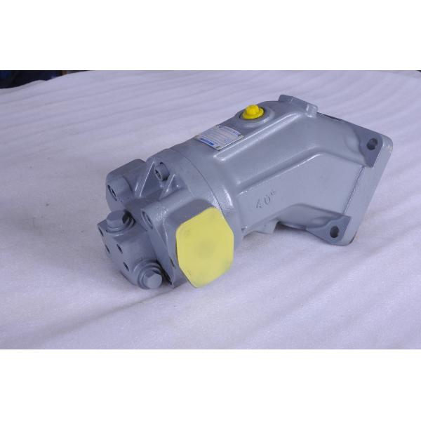 Hydraulic Rexroth Axial Piston Pump A2F6 A2F12 A2F23 A2F28 A2F45 A2F5 A2F63