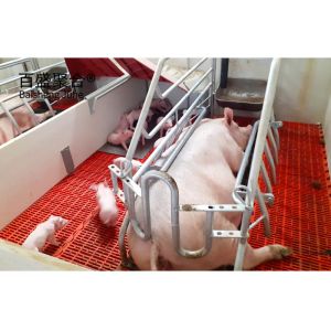 Buy cheap Galvanized Pig Raising Equipment Prefab Steel Frame Sheds for Pig Farm Grade Steel from wholesalers