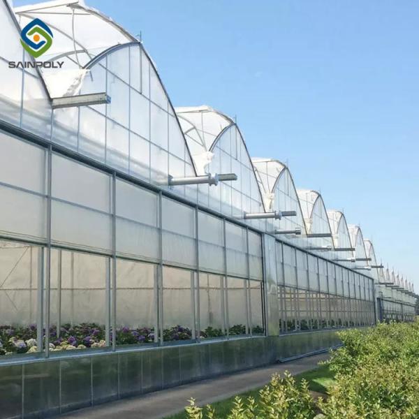 Quality Vegetable Multi Span 3.0m Arch PC Sheet Greenhouse for sale
