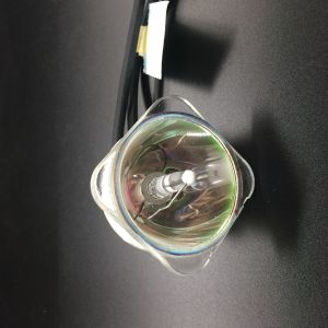 XG SV200X Sharp Projector Bulbs