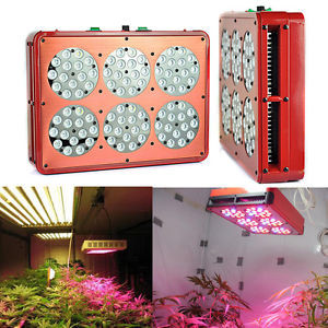 Buy cheap full spectrum New Indoor planting Promotion led grow light Manufacturers RED BLUE IR UV from wholesalers