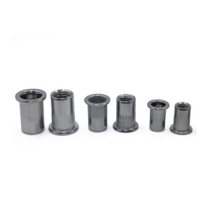 ISO Standard Galvanized Stainless Steel Blind Rivet Insert Screws with Bright