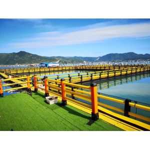 Nangfengwang Large Plastic Fishing Platform Floats for Fishery Breeding Pontoons