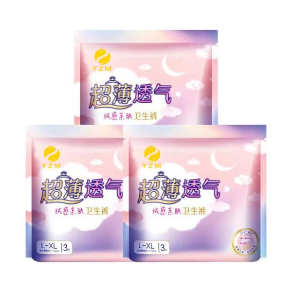 Quality Disposable Menstrual Briefs Manufacturer For An Eco-Friendly Period for sale