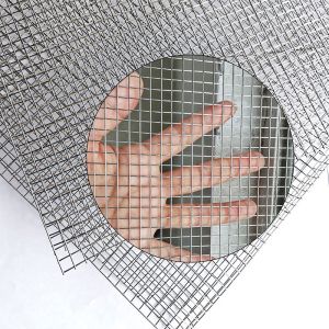 China Garden Wall Building Welded Wire Mesh Fence Mesh PVC Coating Galvanized Coating Zinc Coating Welded Steel Bar Grating Panel on sale