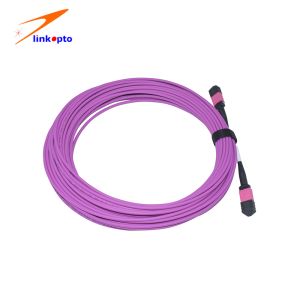 Buy cheap High Speed Ethernet 12 cores MPO MTP Patch Cord MM OM4 Duplex Multi Mode Fiber 5 Meters product