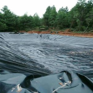Buy cheap Ensure Leak-proof Water Storage Tanks with HDPE Geomembrane Double Smooth Surface from wholesalers