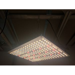 Buy cheap High Power Samsung LM301B 660nm Optic Grow Lights from wholesalers