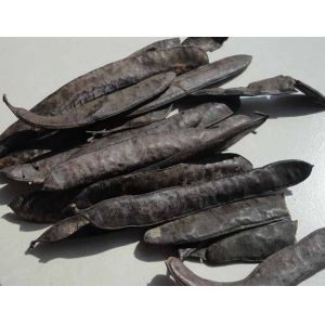 Buy cheap Chinese Honeylocust Fruit extract / Gleditsia sinensis extract / Fructus gleditsiae extract from wholesalers