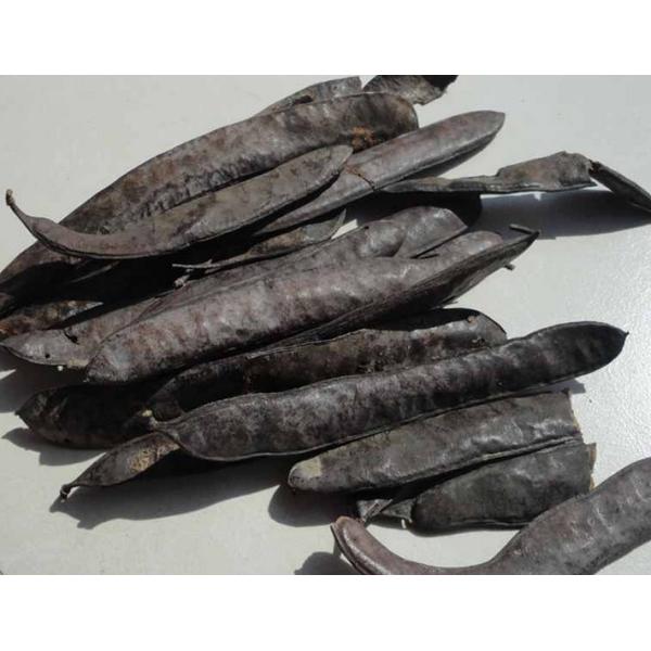 Buy cheap Chinese Honeylocust Fruit extract / Gleditsia sinensis extract / Fructus gleditsiae extract from wholesalers