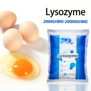 Buy cheap Customized Enzyme Activity Lysozyme In Milk 2000U/MG Lysozyme Powder product