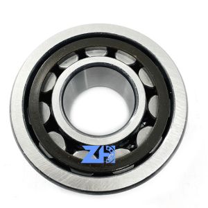 Buy cheap NJ2305ET2X single row cylindrical roller bearing polyamide cage 25x62x24 mm from wholesalers