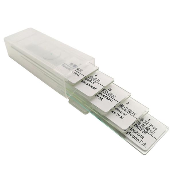 Quality School Students Learning 5pcs Histology Glass Slides In Plastic Box for sale