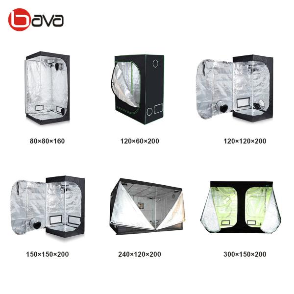 Quality 98% Reflective 210D Mylar Highly Reflective 120*240*200cm Hydroponic Grow Tent for sale