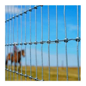 Galvanized Metal Frame Horse Style Pasture Fixed Knot Animal Pasture Horse Ranch