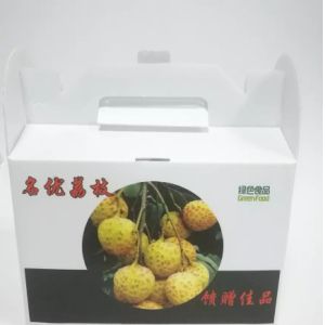 PP Corrugated Plastic Fruit And Vegetable Boxes Custom Reusable