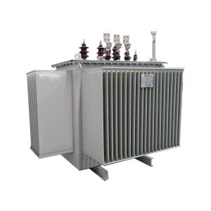 S13/10KV Oil-immersed transformer fully sealed two windings