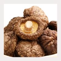 Buy cheap Dried Shiitake Slices For Rich Mushroomy Flavor In Cooking product