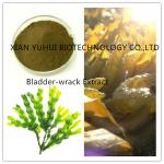 Buy cheap 100% natural bladderwrack extract ,0.3%iodine,0.2% Iodine, 5% iodine from wholesalers