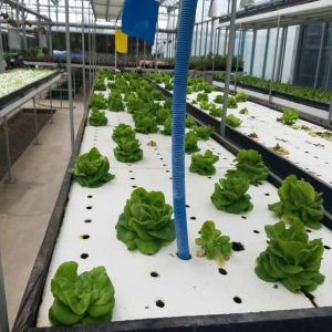 Buy cheap Suitable Seedling Cultivation Budget-Friendly Film Greenhouse with Plastic Sheet Cover from wholesalers