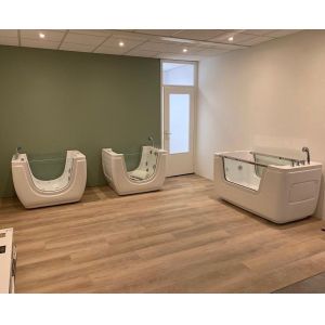 Buy cheap CE Baby Massage Bathtub Tubeless Pump SPA Bathtub Freestanding Indoor Thermosta from wholesalers