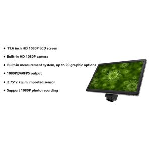 11.6 Inch Full HD 16 Million Pixel Microscope LCD Screen with Win10 System