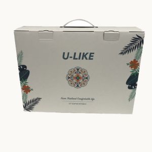 Reusable Leakproof Corrugated Gift Box With Handle Multipurpose