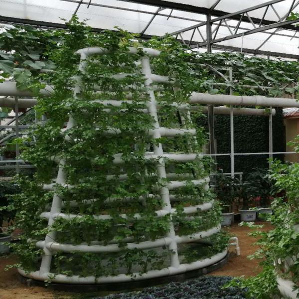 Quality Hydroponic Tower Garden Hydroponics Growing Vegetable Aeroponic Tower for sale