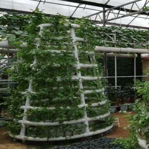 Buy cheap Hydroponic Tower Garden Hydroponics Growing Vegetable Aeroponic Tower from wholesalers