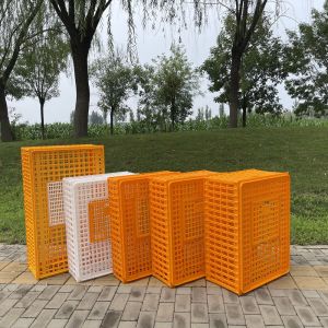 Buy cheap Plastic Hygiene Security Chicken Transport Crates from wholesalers