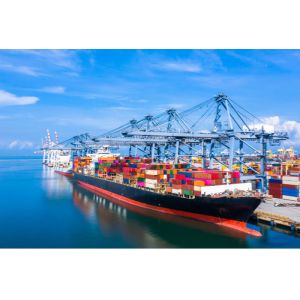 Buy cheap DDP Sea Freight Cargo Ship From China To Australia from wholesalers