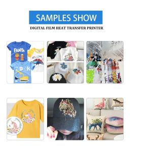 Buy cheap 2 or 4 Head Hot Peel PET Film Printer DTF Printer Large Conveyor Belt Powder Shaking Machine For Heat Transfer Tshirt from wholesalers