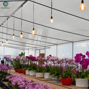 Buy cheap Waterproof Flower Greenhouse Multi Span Greenhouse With Strong Load Bearing from wholesalers