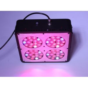 Buy cheap High Efficiency Apollo Series Apollo 4 LED Grow Light 180W for Budding, Flower Blooming, from wholesalers