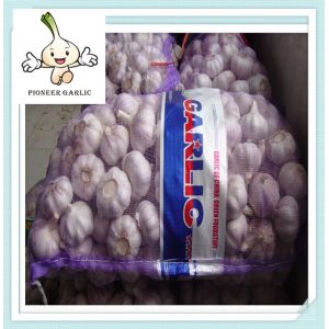 Buy cheap Hot selling garlic High Quality garlic Fresh Garlic 2016 product