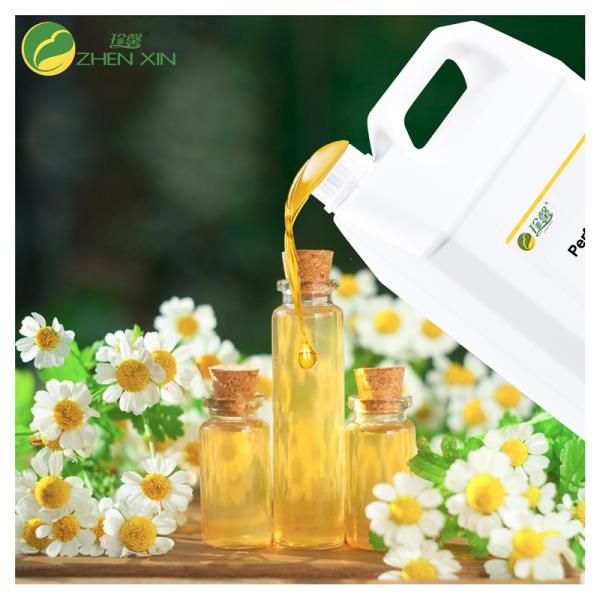 Quality Daisy Perfume Oil Fragrance Custom Perfume Oil Premium Scents for sale