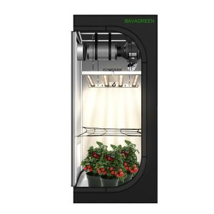 Buy cheap BAVAGREEN Plant Growing Kit 240W LM301H EVO Mint White UV IR LED Grow Light 80x80x180cm 1680D Grow Tent With Smart Fan product
