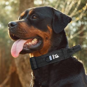 Buy cheap Tactical Dog Collars And Leashes For Medium To Large Dogs In Black from wholesalers
