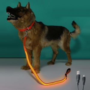 Double Optical Fiber LED Light Up Dog Leash 2 Lighting Modes With Flashlight
