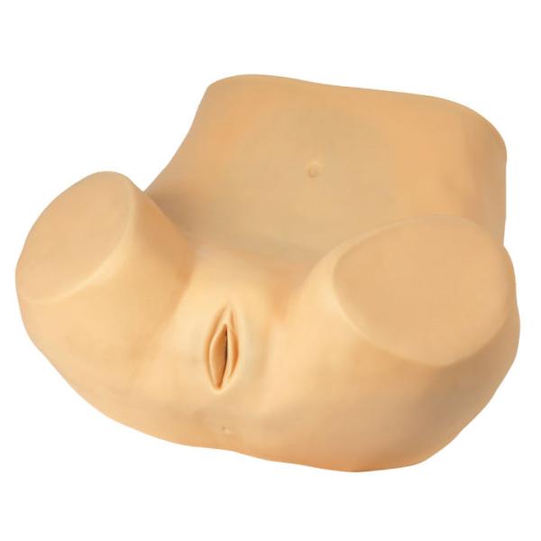 Buy cheap Advanced female troso with pelvis gynecologic simulator viginal examination from wholesalers