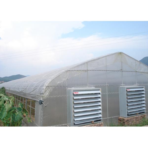 Quality Smart Industrial Multi Span Greenhouse For Vegetable Growing for sale