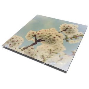 Buy cheap UV Resistant Signage Aluminum Composite Panel , 2000mm ACM Sign Board product