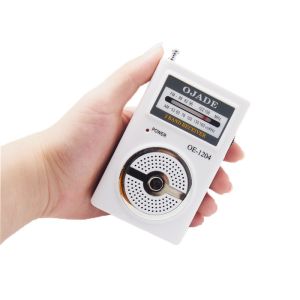Buy cheap With Speaker portable AM FM radio super design private model DSP Chip from wholesalers