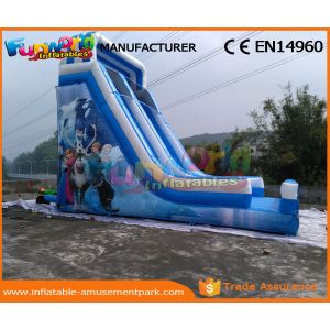 Blue PVC Tarpaulin Frozen Commercial Inflatable Slide Inflatable Dry Slide for