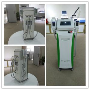 Buy cheap 2016 Cryolipolysis slimming for cellulite reduce machine from wholesalers