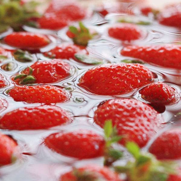 Quality Industrial Fruit Cleaning Machine Automatic Strawberry Washing Machine for sale